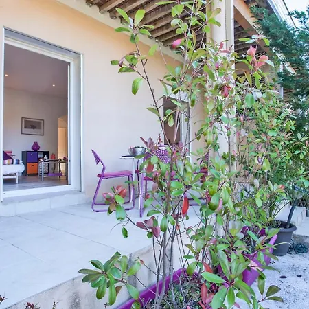 公寓 Casa Estel - Blue In Downtown Of Erbalunga
